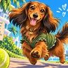 od_doxie